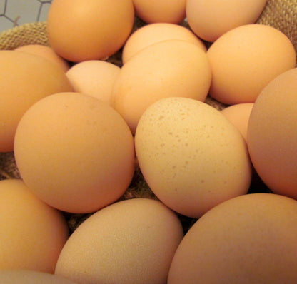 Brown Eggs - The Fruitful Hen